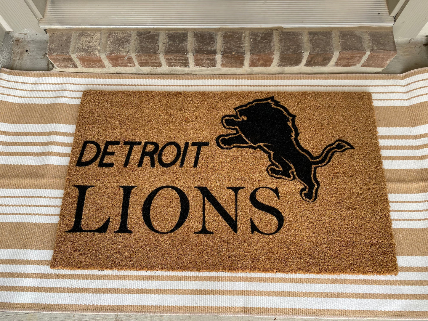 DETROIT LIONS